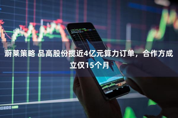 蔚莱策略 品高股份揽近4亿元算力订单，合作方成立仅15个月