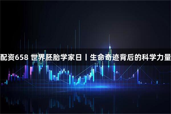 配资658 世界胚胎学家日丨生命奇迹背后的科学力量
