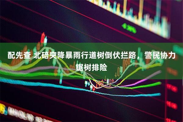 配先查 北碚突降暴雨行道树倒伏拦路，警民协力锯树排险