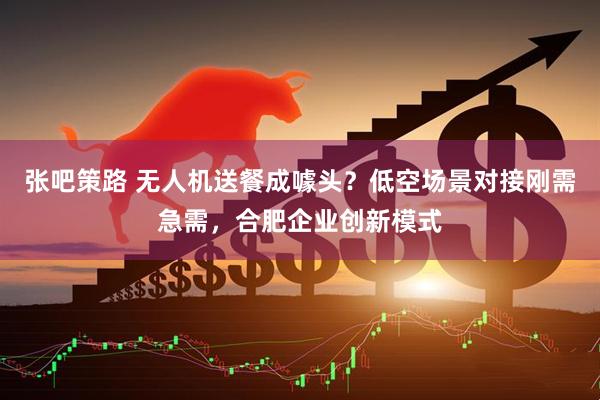 张吧策路 无人机送餐成噱头？低空场景对接刚需急需，合肥企业创新模式