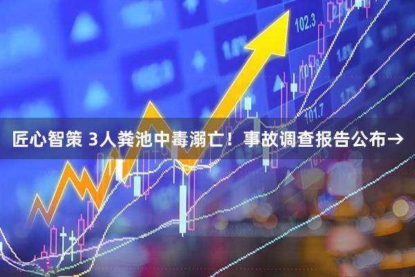匠心智策 3人粪池中毒溺亡！事故调查报告公布→