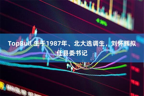 TopBull 生于1987年、北大选调生，刘怀辉拟任县委书记