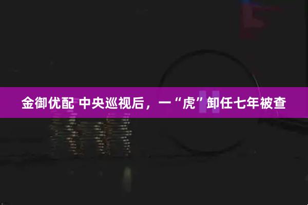 金御优配 中央巡视后，一“虎”卸任七年被查