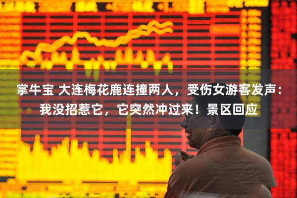 掌牛宝 大连梅花鹿连撞两人，受伤女游客发声：我没招惹它，它突然冲过来！景区回应